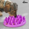 Comedouro Interativo para Animais de Estimação