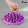 Comedouro Interativo para Animais de Estimação
