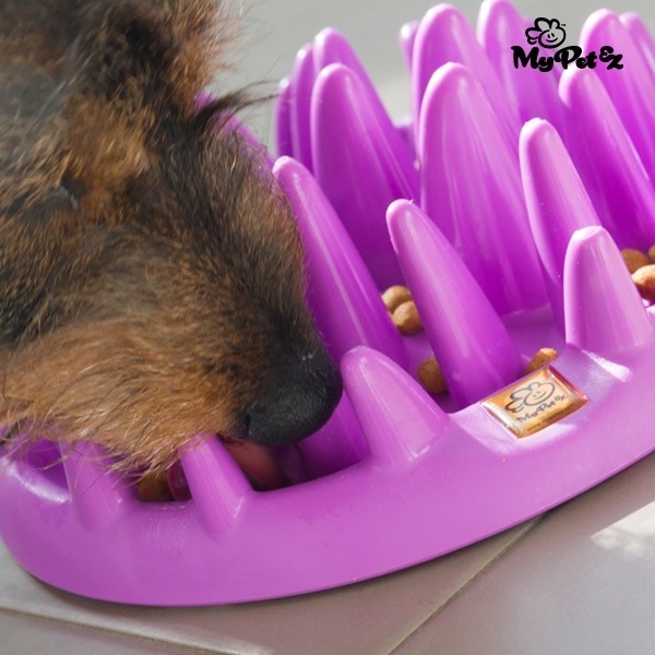 Comedouro Interativo para Animais de Estimação