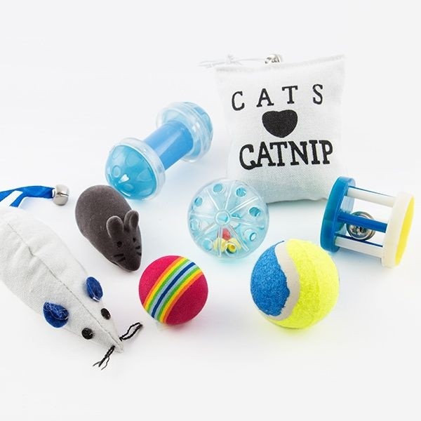 Conjunto de 8 Brinquedos para gatos de estimação