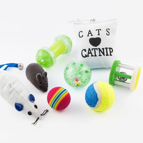 Conjunto de 8 Brinquedos para gatos de estimação