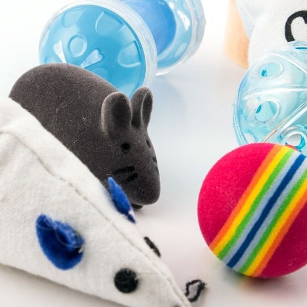 Conjunto de 8 Brinquedos para gatos de estimação