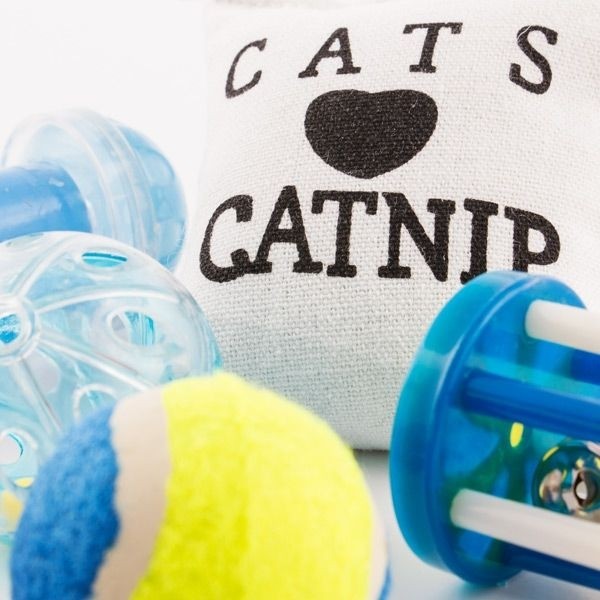 Conjunto de 8 Brinquedos para gatos de estimação