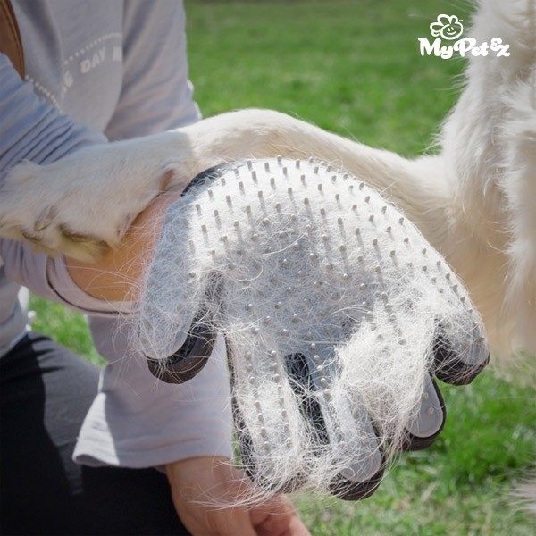 Escova Luva para Animais de Estimação